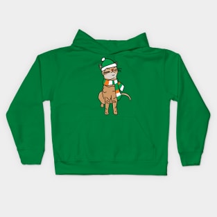 Irish Kitty Cat on St Patricks Day Kids Hoodie